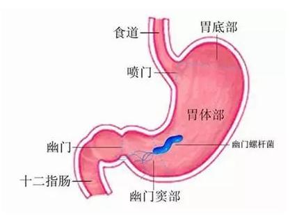 氣道濕化的必要性