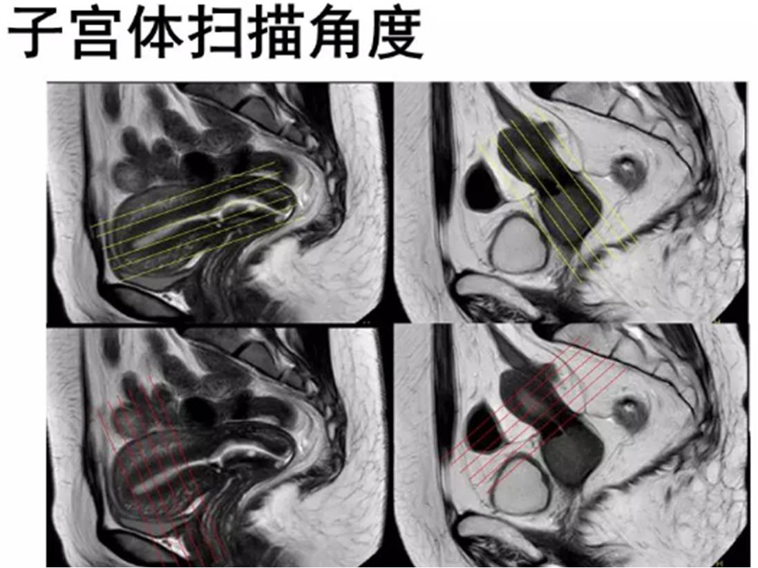 圖片1.jpg