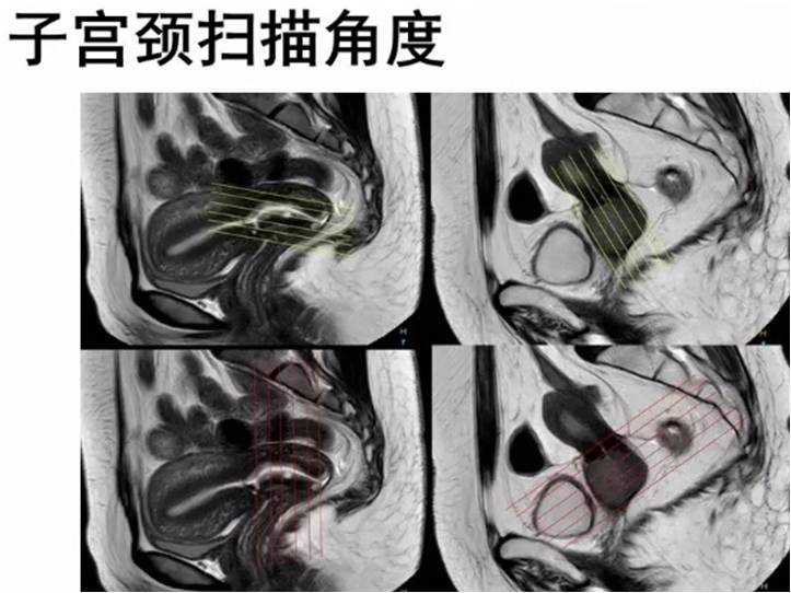 圖片2.jpg