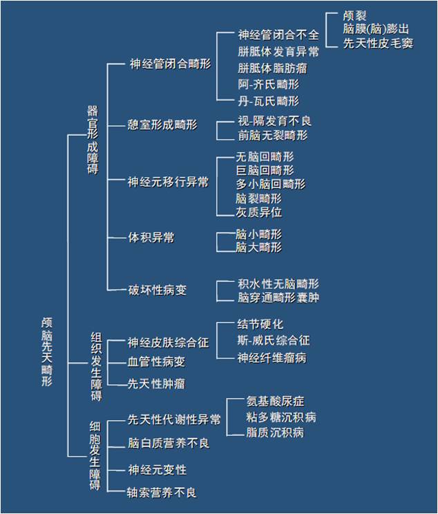 圖片1.jpg