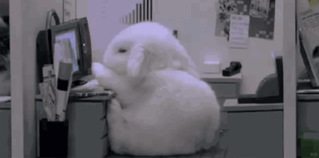 4.gif